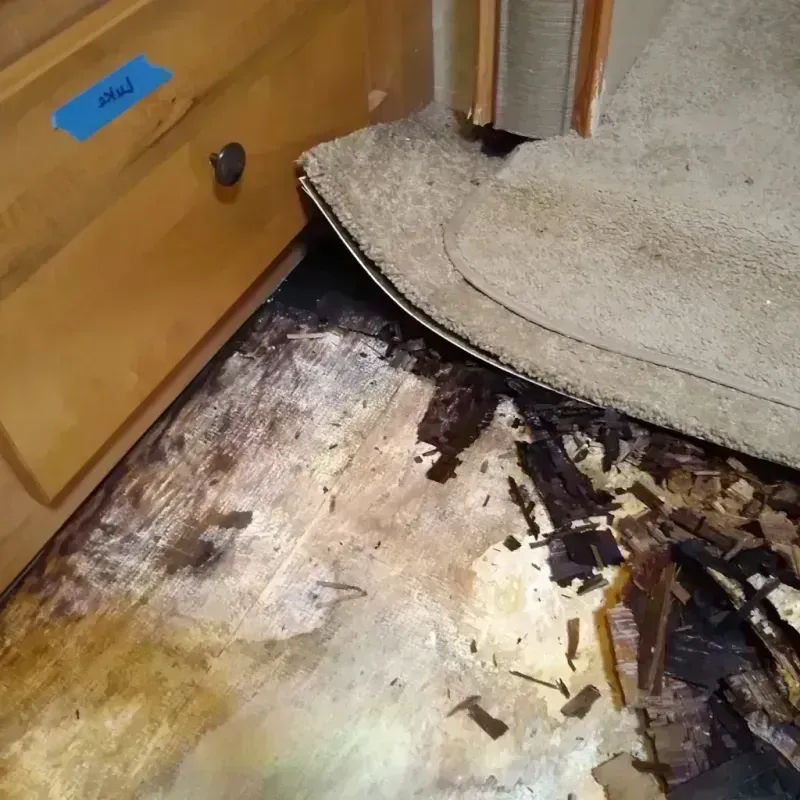 Wood Floor Water Damage in Holden, MA